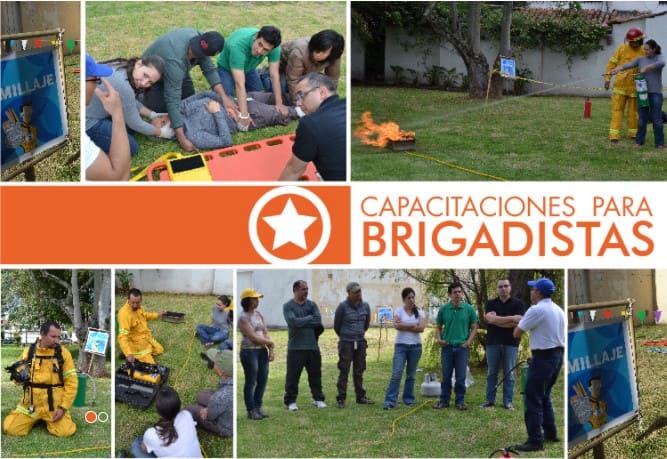 Actividad Empresarial 2